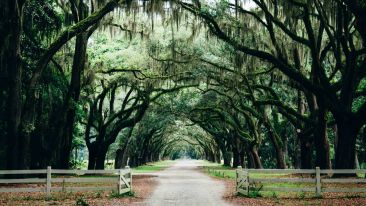 Take the Interior Path to the Fearless Life