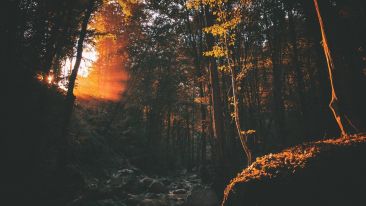 The Secret of the Shadow of the Sun