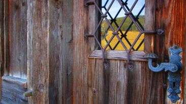 Student Reports on the 'Stand at the Door' Exercise