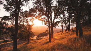 Receive the Light of Life That's Everlasting