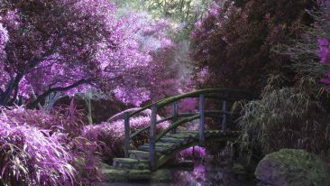 How to Bridge the Distance Between Heaven and Earth