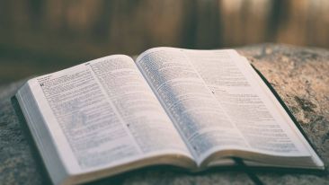 Homosexuality in the Bible
