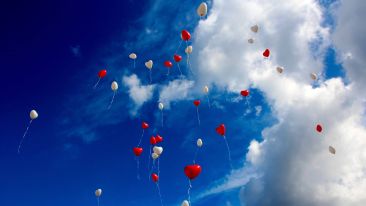Agree to the Great Law of Love That Sets You Free