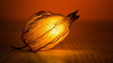 Choose to Light Up Instead of Giving Up