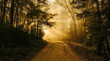 Take the Path That Leads to a Pure Heart