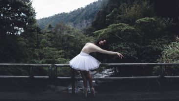 The Art of Performing