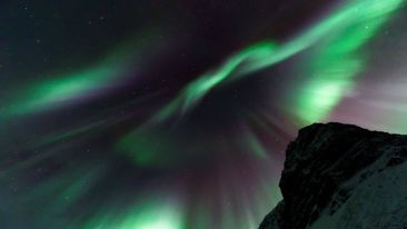 Use the Light of Higher Self-Awareness to Drop Dark States