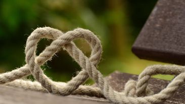 Student Reports on the 'Connect Experience to Meaning' Exercise