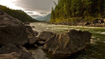 Student Reports on the 'Stop Going Downstream' Exercise