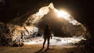 Use Self-Observation to Stop Being Used by Negative States