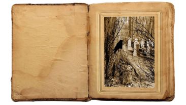 End the Self-Created Stories That Create the Self That Suffers