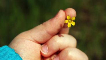 Be Bigger Than the Little 'I' That's Bringing You Down