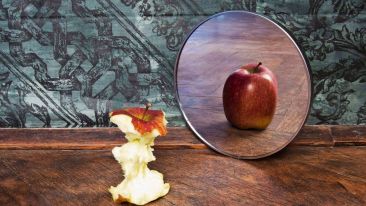 Mirror, Mirror on the Wall, Who's the Fairest One of All