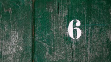 The Six Traits of the 'Cancerous-Celf'