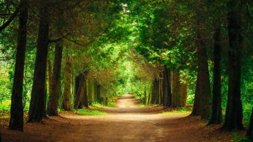 Be Liberated by the Love of Light