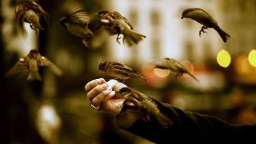 Condensed Lessons on the True Nature of Fearless Living