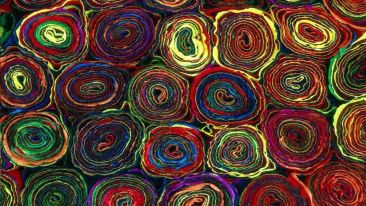 8 Words to Cancel Any Painful Patterns