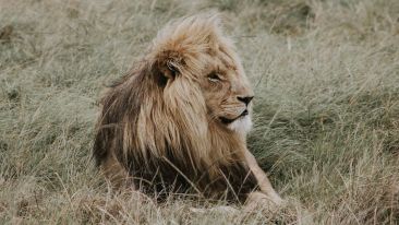 The Secret of Fearless Living