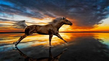 A New Reflection on the Nature of Reality