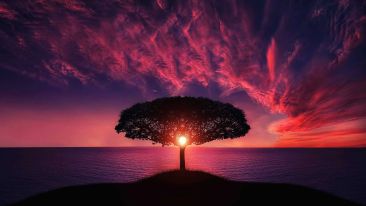 The Power and the Promise of Being the Beginning