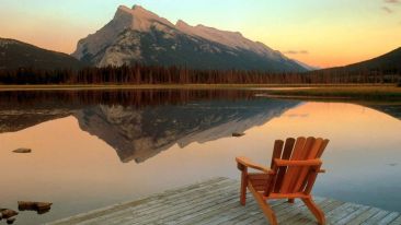 Learn to Be Still and Help Liberate Yourself