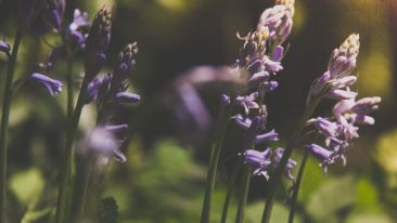 Awaken the Need for a Whole New Being
