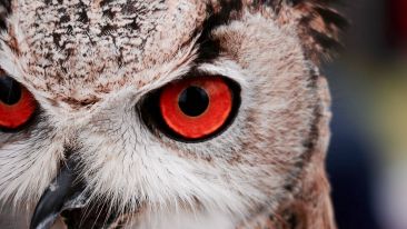 Choose to See Through the Eyes of Truth