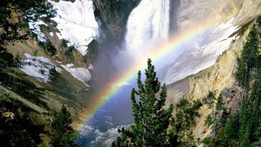 Lessons in a Higher Order of Love