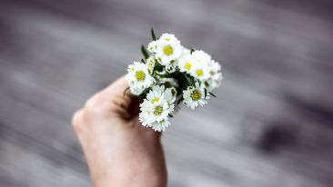 Give Yourself the Greatest Reward on Earth