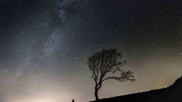 The Journey of Unifying Body, Mind, and Heart