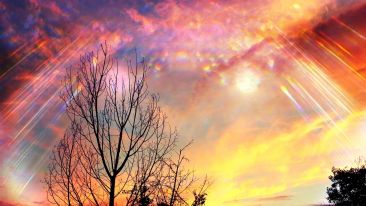 The Divine Rising