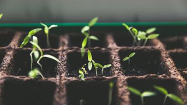 Sow the Seeds That Lead to Higher Consciousness