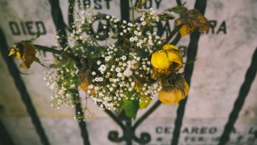 Fear of Illness and Death