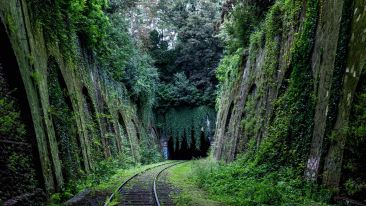 Escape the Prison Called 'The Path of Least Resistance'