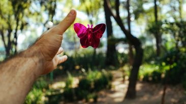 Invite Love to Fulfill Its Promise to Set You Free