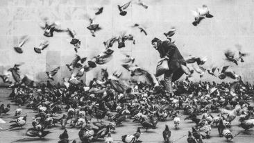 Stop Feeding the False Self and Be Set Free