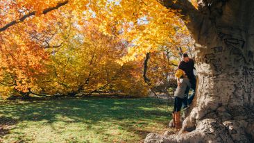 The Golden Rule: What No One Ever Told You About Love and Kindness