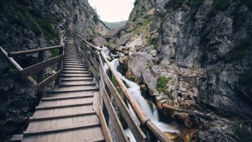 The First Step to Realizing True Self-Command