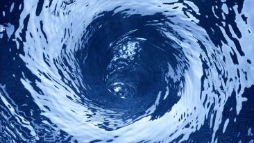 The Sad Story of Whirlpool Willy