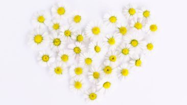 Make Your Heart Happy, Not Hard