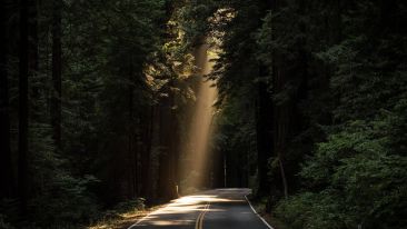 The First Great Law of Spiritual Development