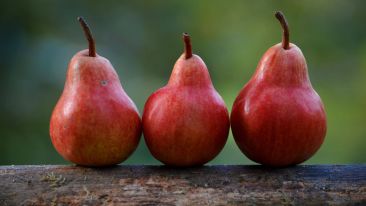 7 Words That are the Seed and the Fruit of Self-Liberation