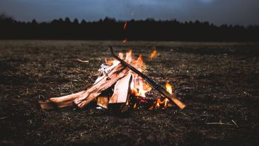 Stand in the Fire That Doesn't Burn and Be Set Free