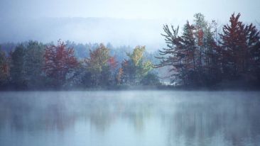 The Power of Being Still