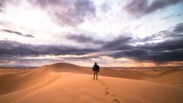 Run the Great Race and Win Timeless Love