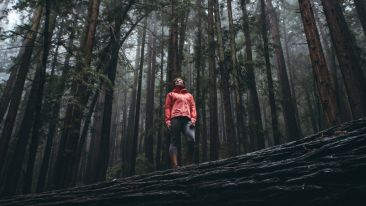 The Invisible Path That Leads to Being at Peace With Your Pain