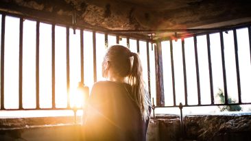 3 Words Guaranteed to Release You From Any Negative Reaction