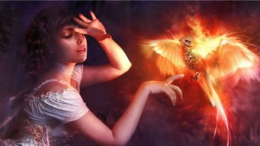 Choose Freedom and It Will Choose You