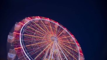 Escape the Circle of Suffering Born of Unconscious Identification