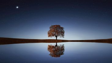 Start Seeing and Being Part of a New Creation
